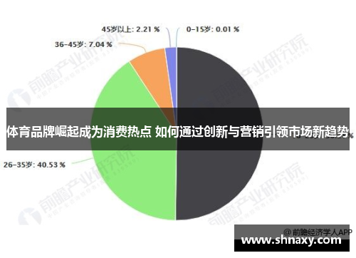 体育品牌崛起成为消费热点 如何通过创新与营销引领市场新趋势