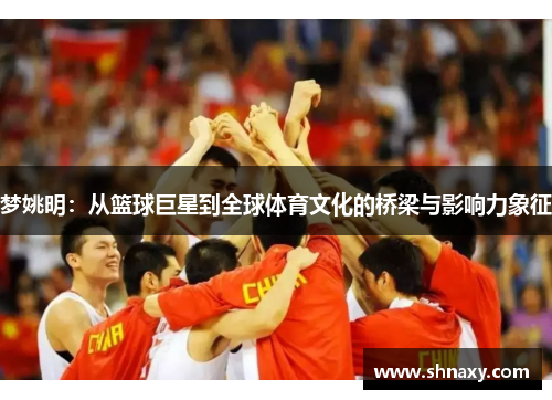 梦姚明：从篮球巨星到全球体育文化的桥梁与影响力象征