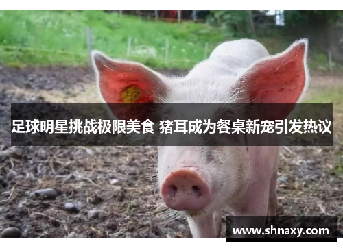 足球明星挑战极限美食 猪耳成为餐桌新宠引发热议