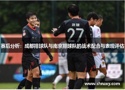 赛后分析：成都排球队与南京排球队的战术配合与表现评估