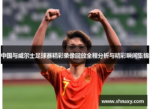 中国与威尔士足球赛精彩录像回放全程分析与精彩瞬间集锦
