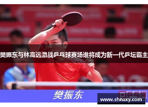 樊振东与林高远激战乒乓球赛场谁将成为新一代乒坛霸主